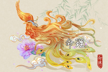 老皇历 择吉老黄历皇历 择吉皇历